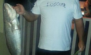 Overberg Kushengel se vangstes